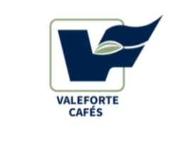 valeforte logo