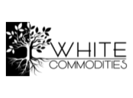 white logo